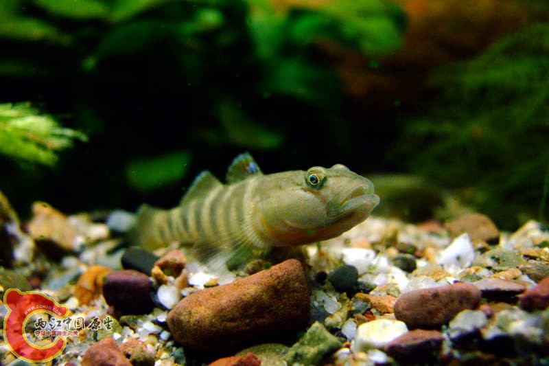 DSCF4944.jpg