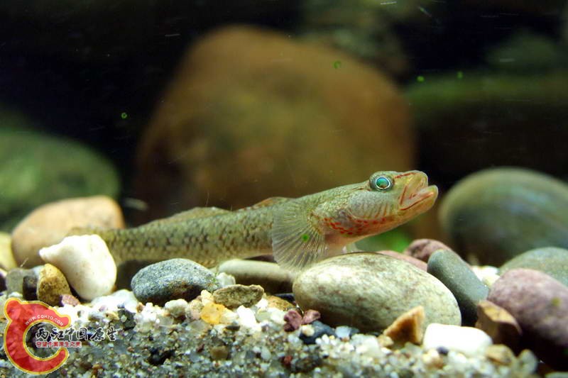 DSCF4908.jpg
