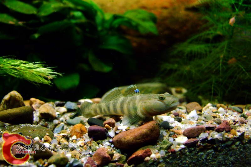 DSCF4942.jpg