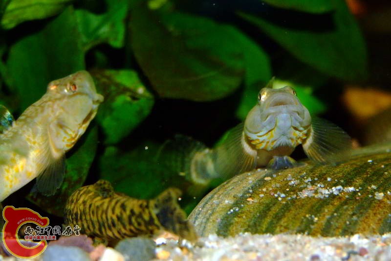 DSCF5032.jpg