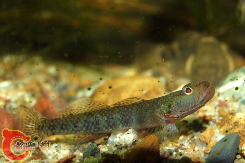 DSCF5134.jpg