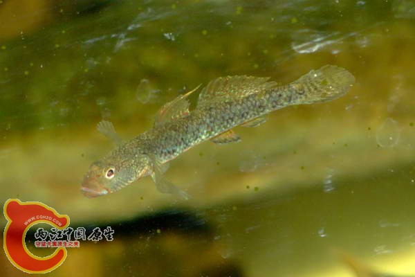 DSCF5055.jpg