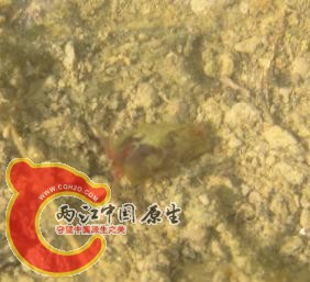 怪物2.jpg