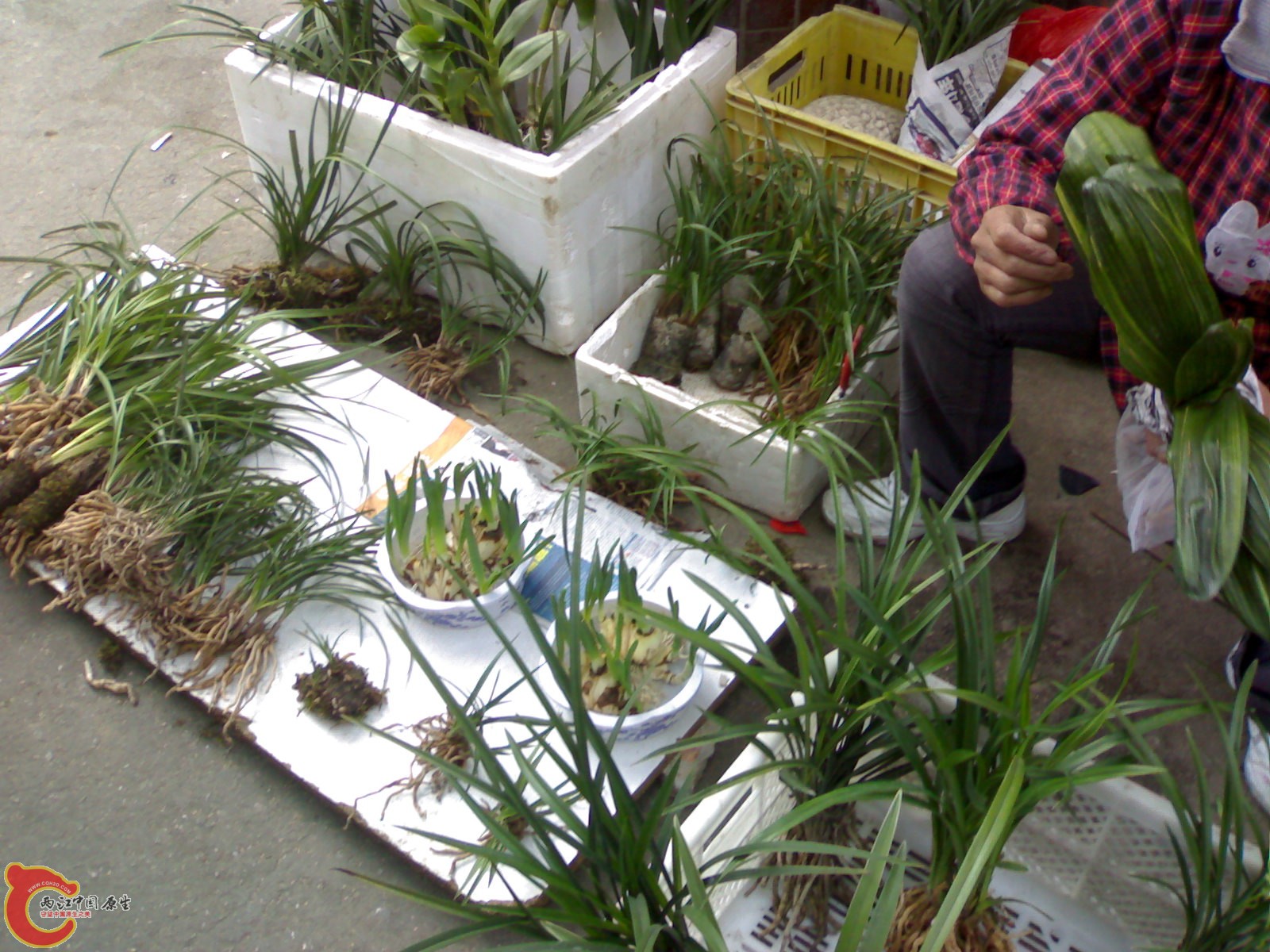 20101030611.jpg