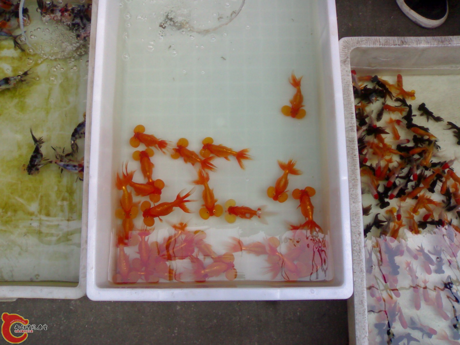 20101030613.jpg