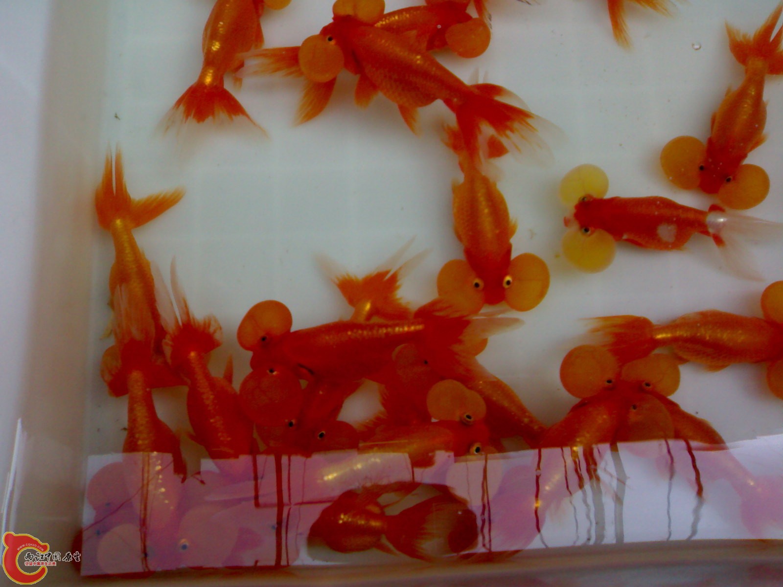 20101030614.jpg