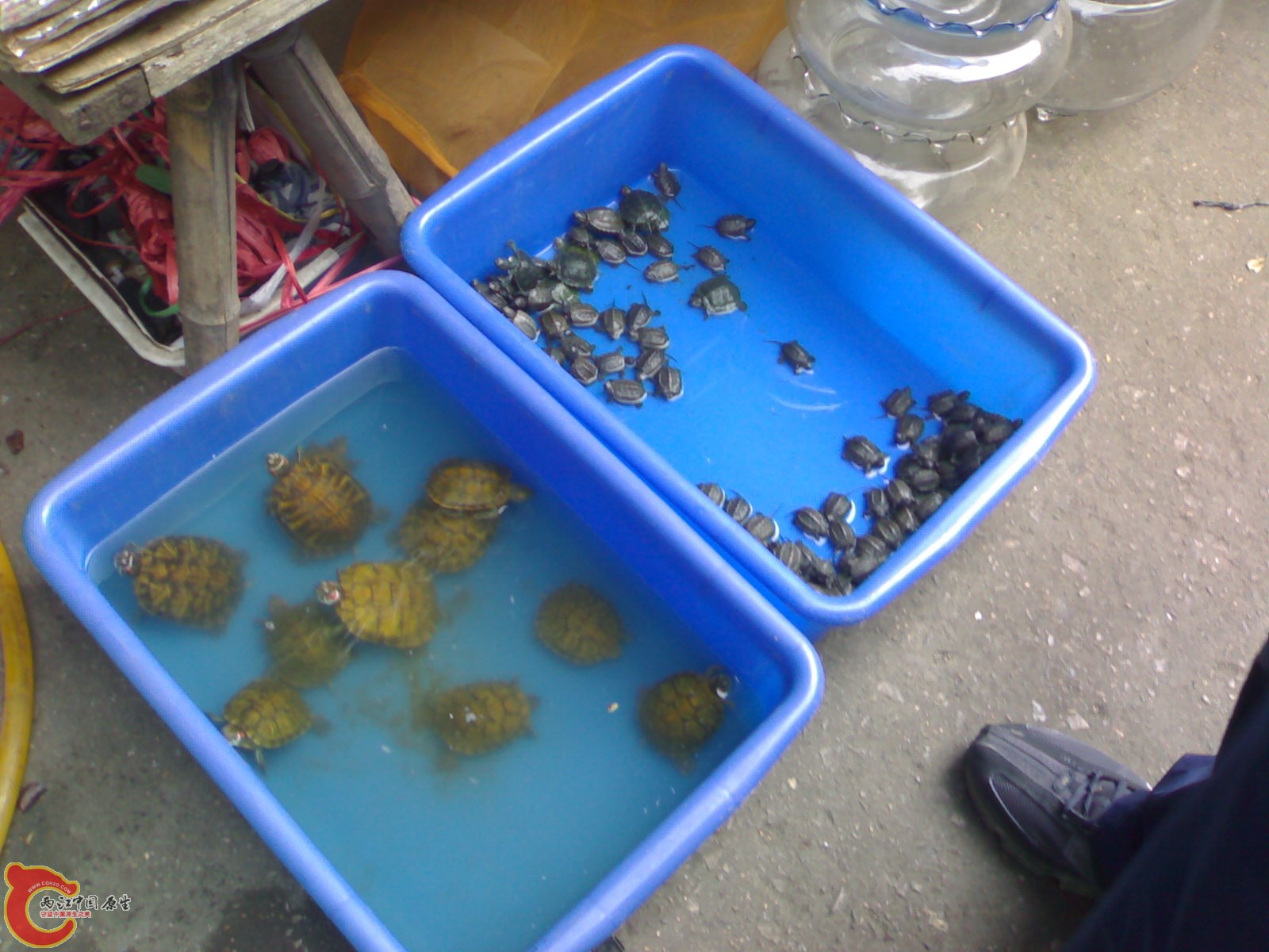 20101030618.jpg