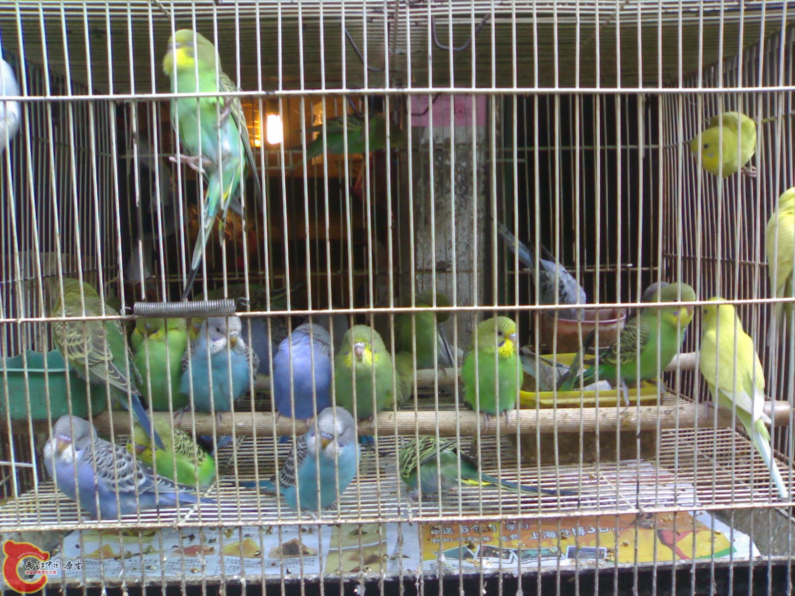 20101030619.jpg