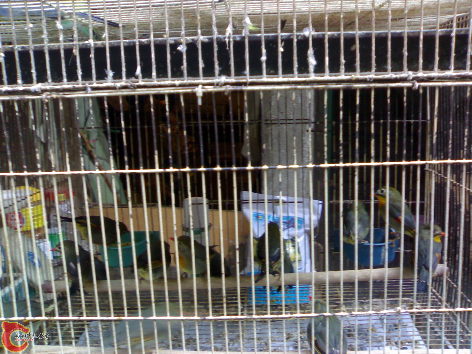 20101030620.jpg