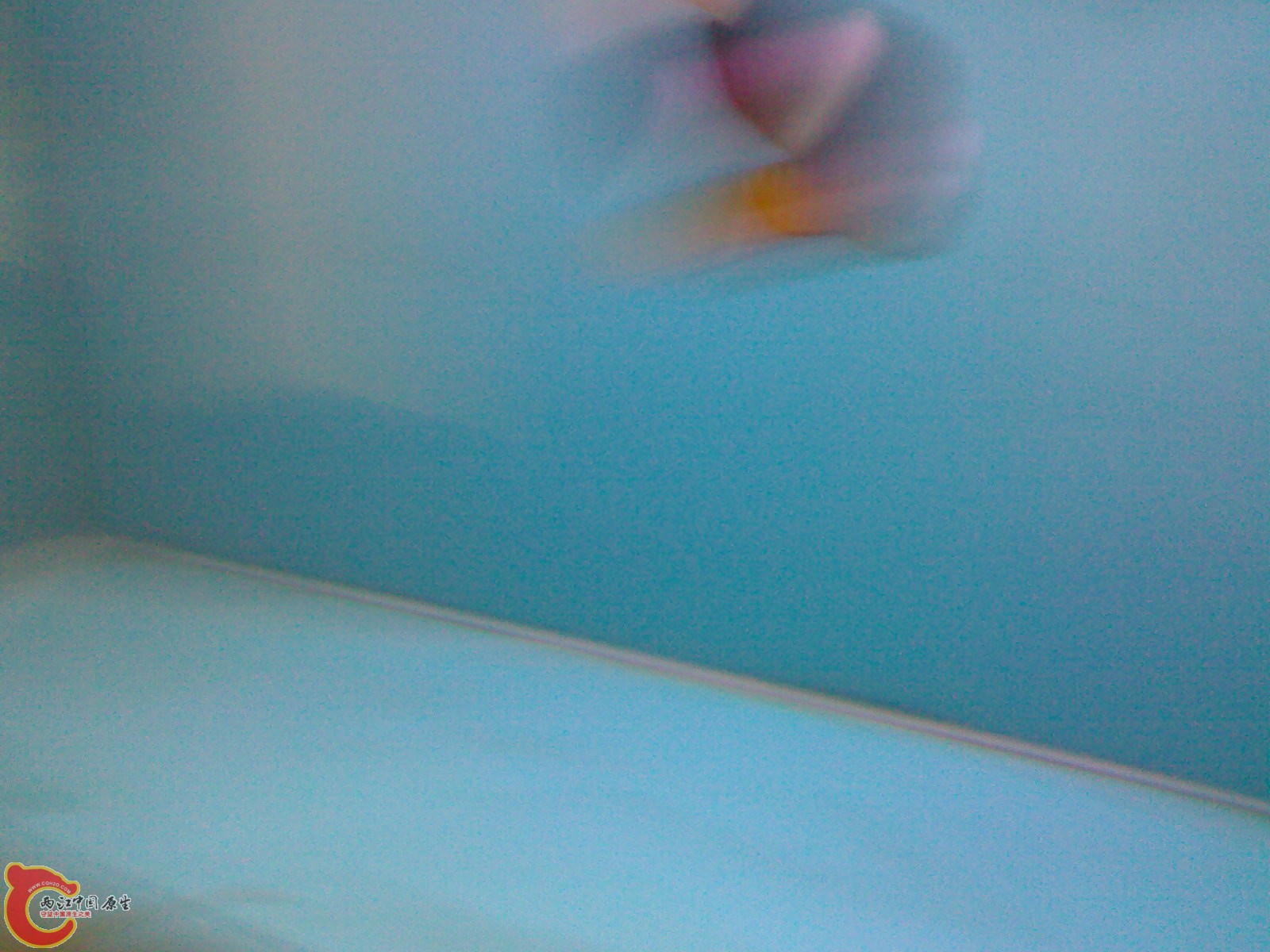 20101030621.jpg