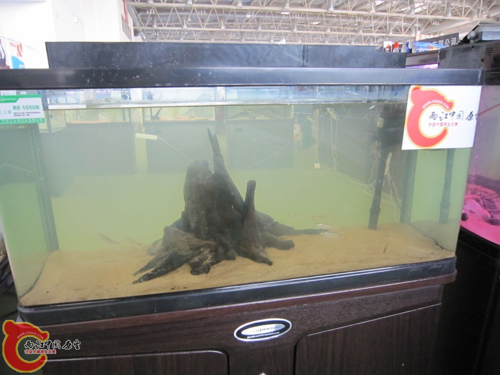 IMG_3394.JPG