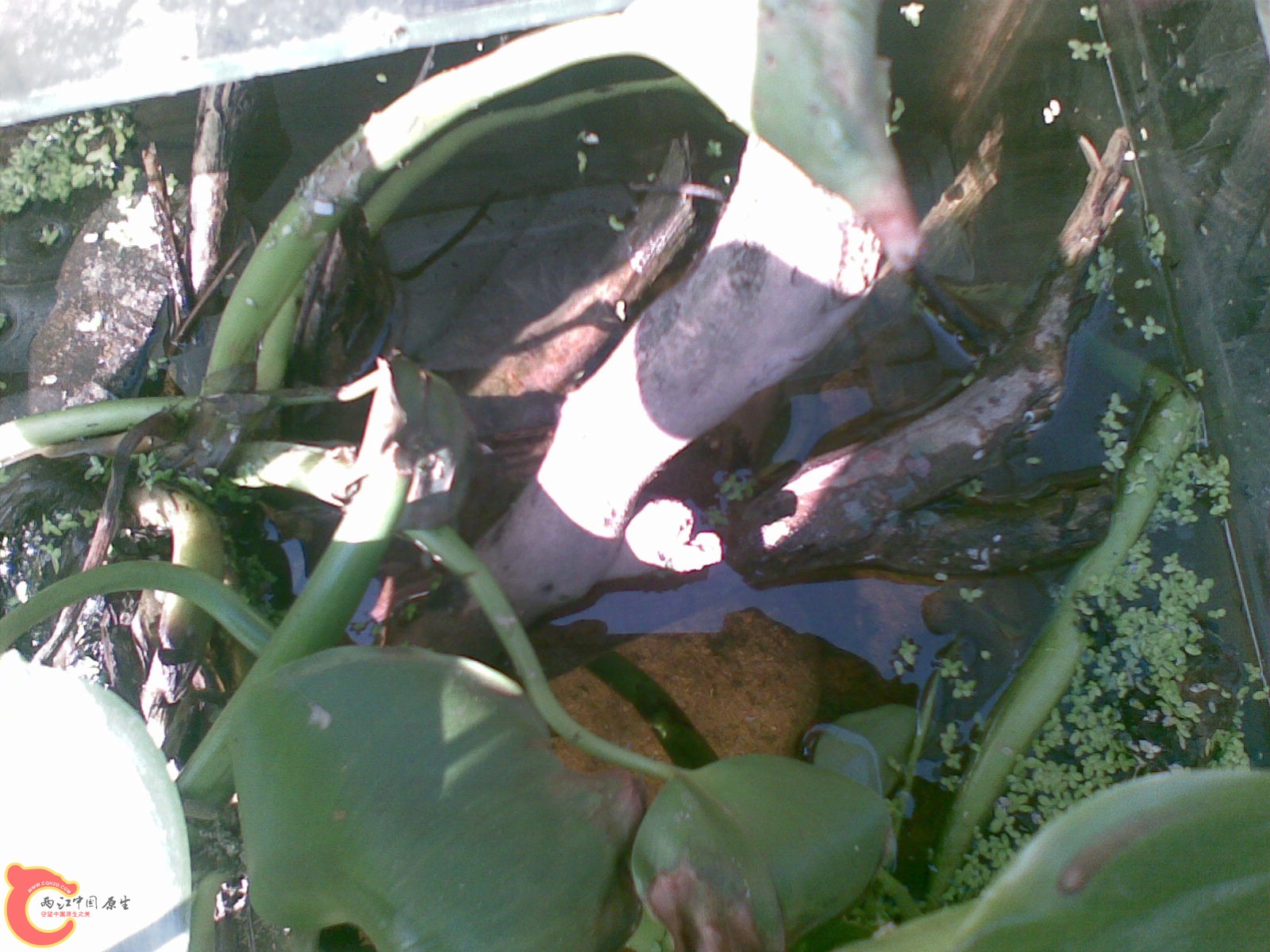 20101031_030.jpg