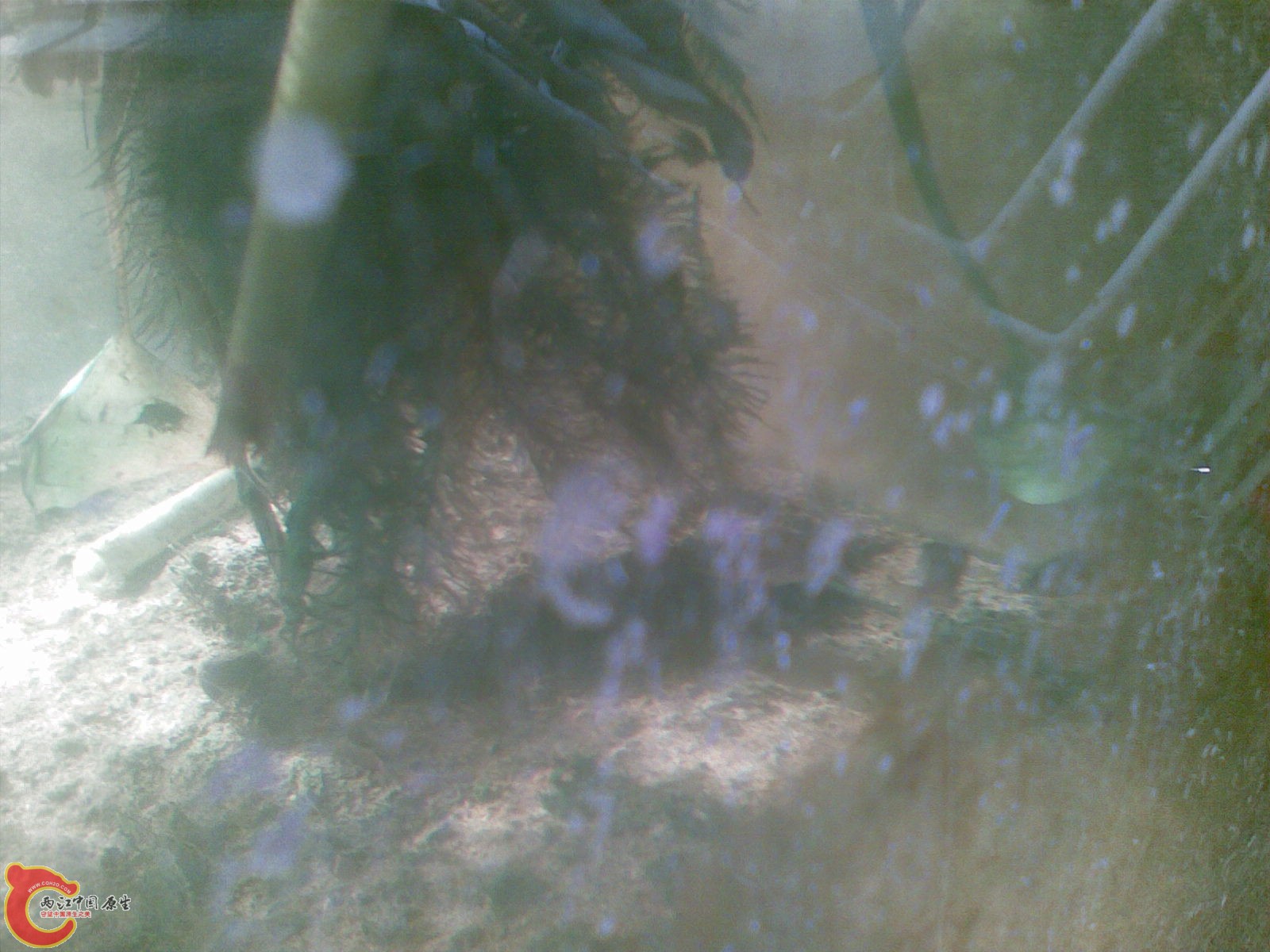 20101031_009.jpg