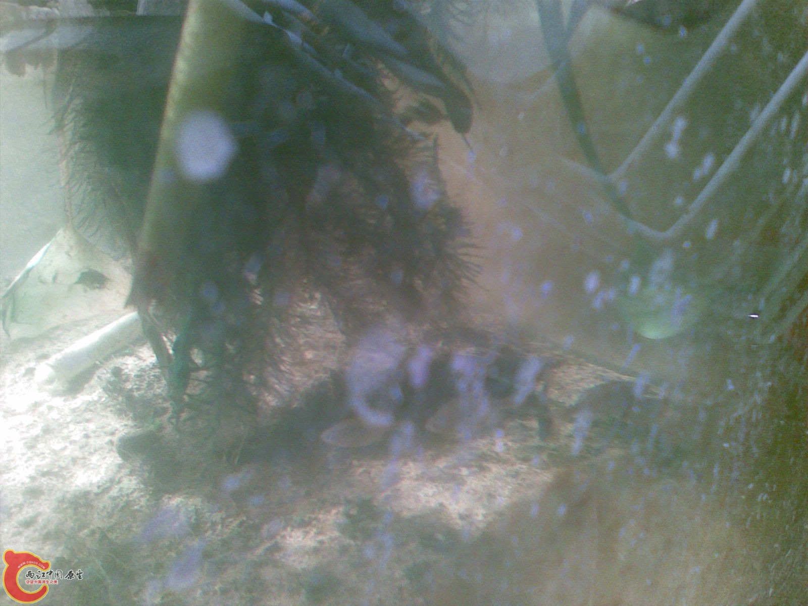 20101031_010.jpg