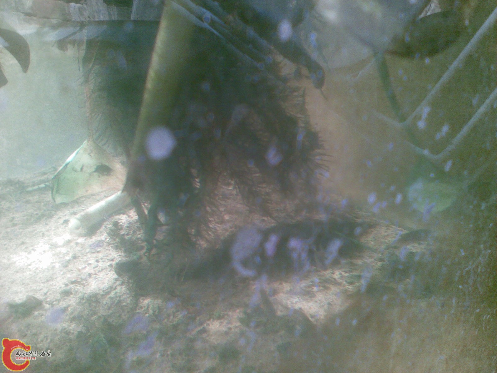 20101031_012.jpg
