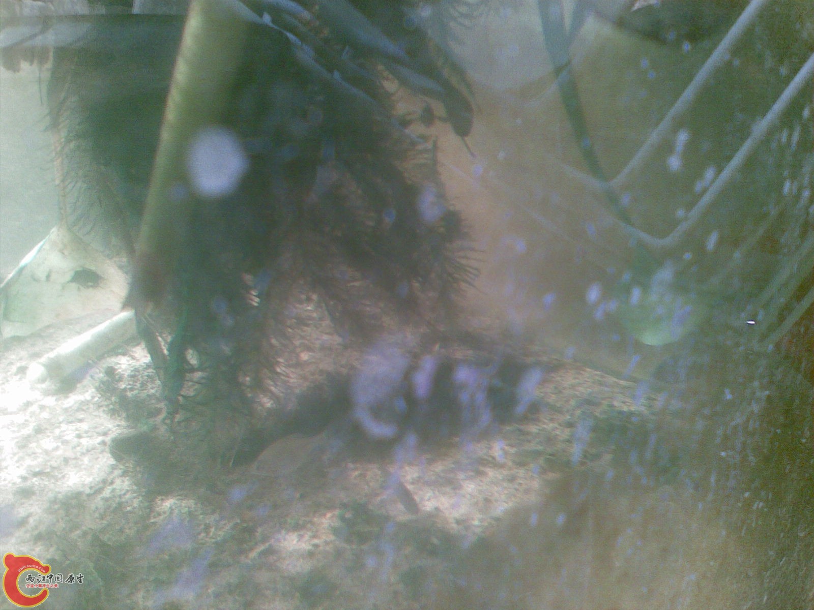 20101031_011.jpg