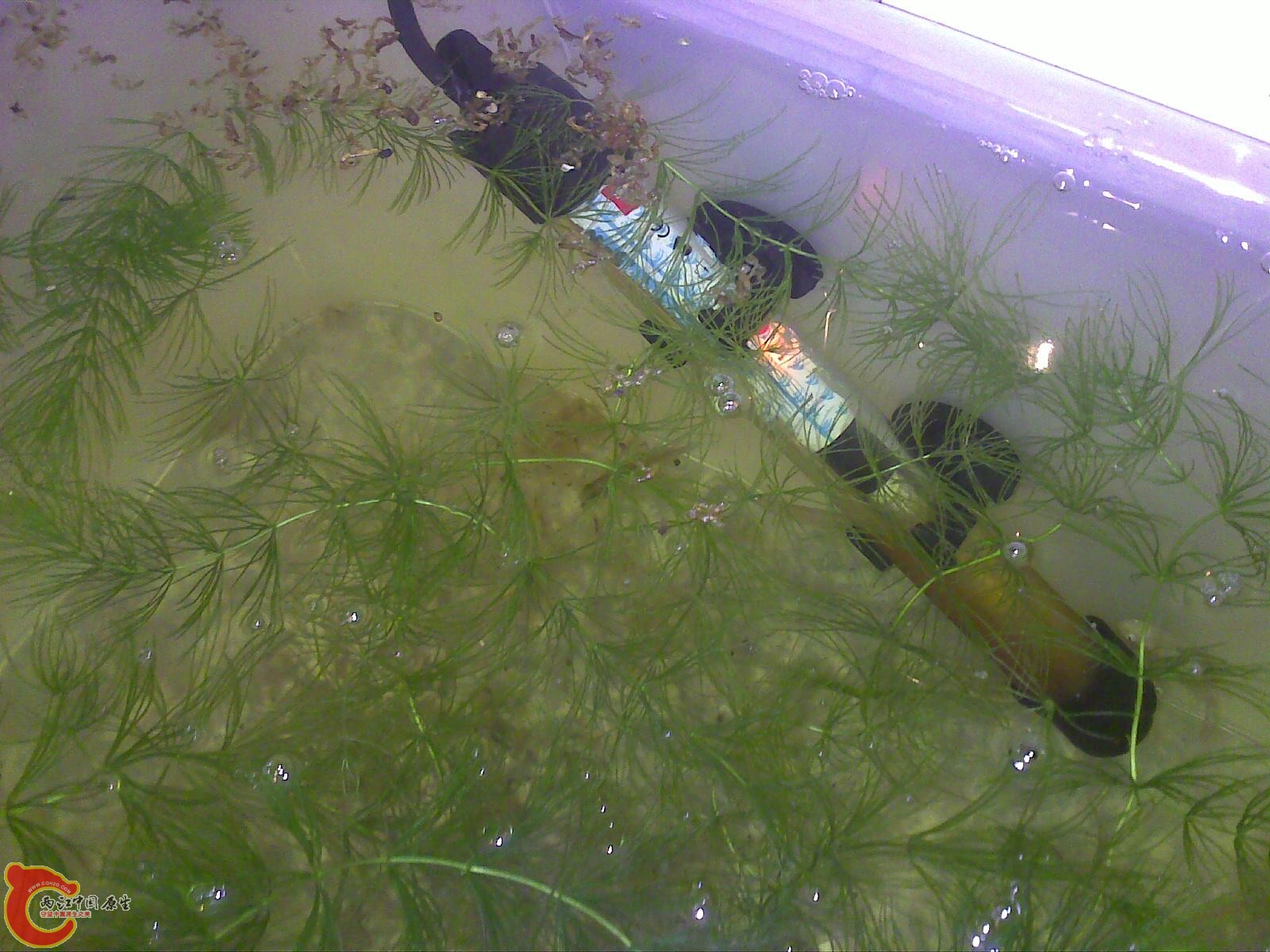 201011021439.jpg
