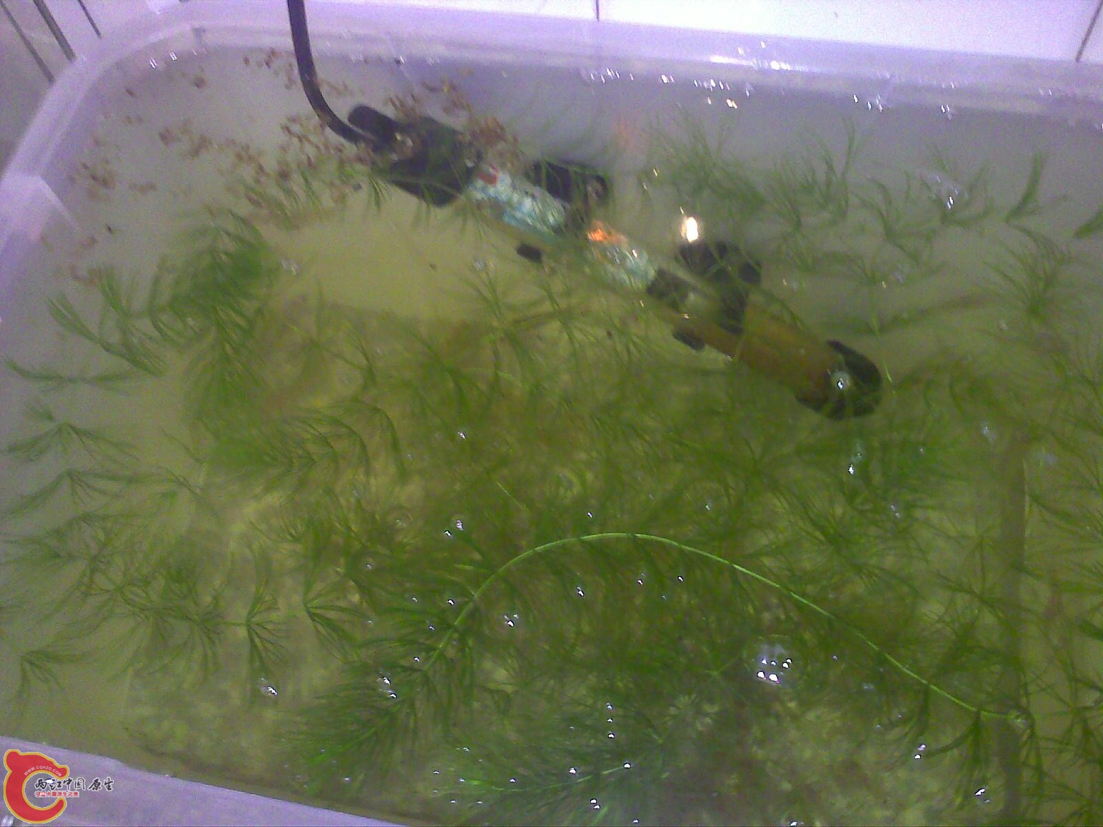 201011021438.jpg
