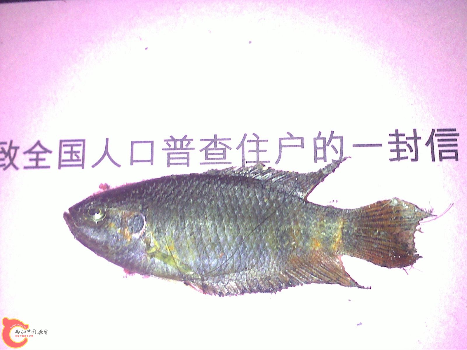 201011021436.jpg