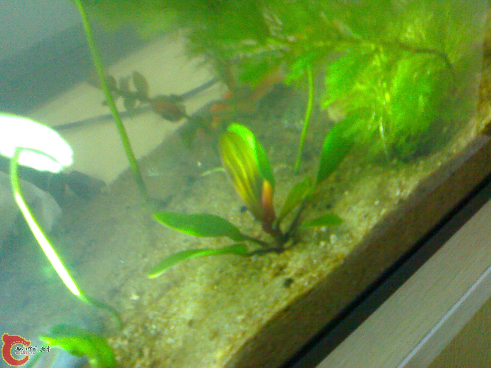 20101102696.jpg