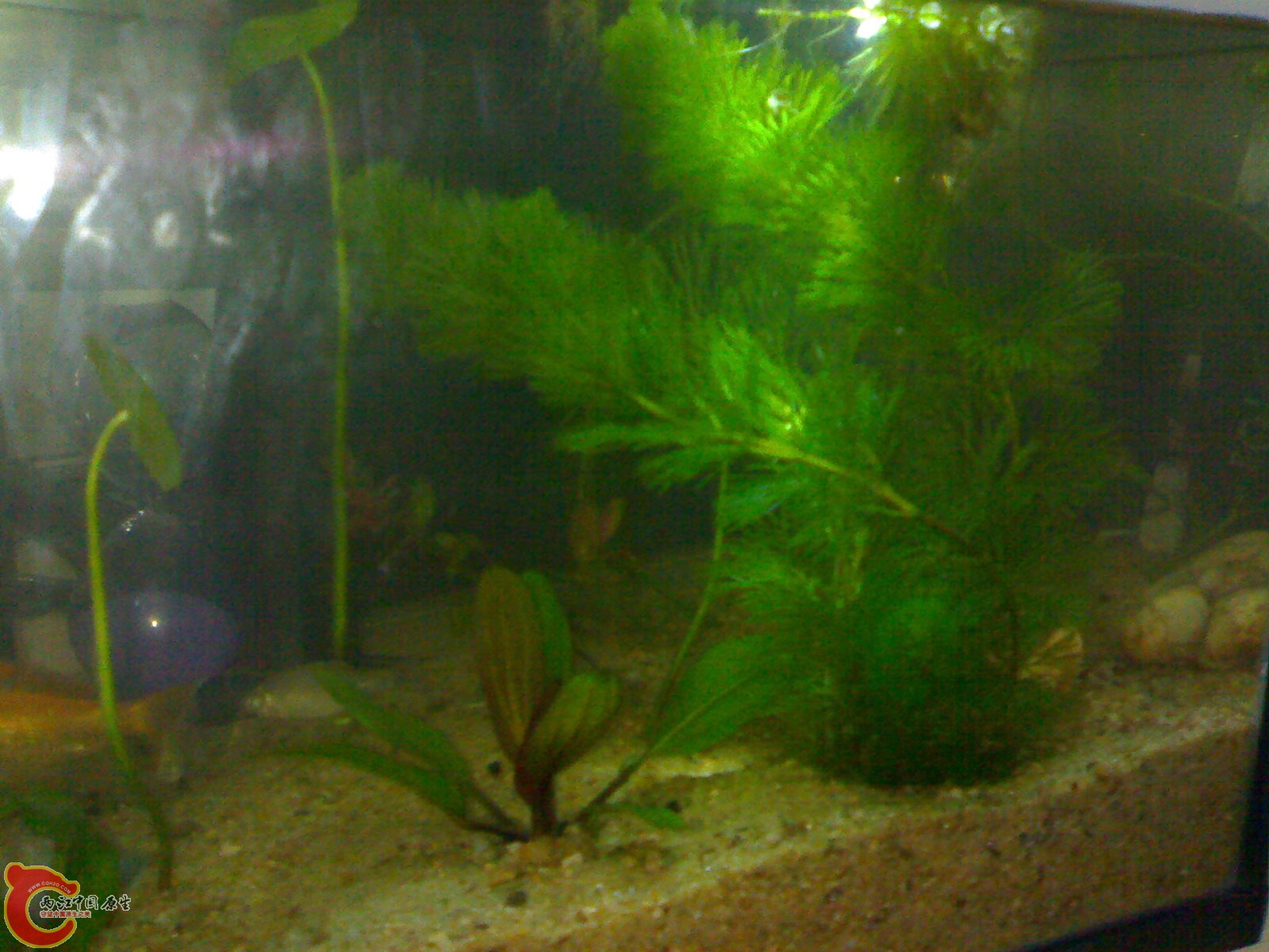 20101102697.jpg