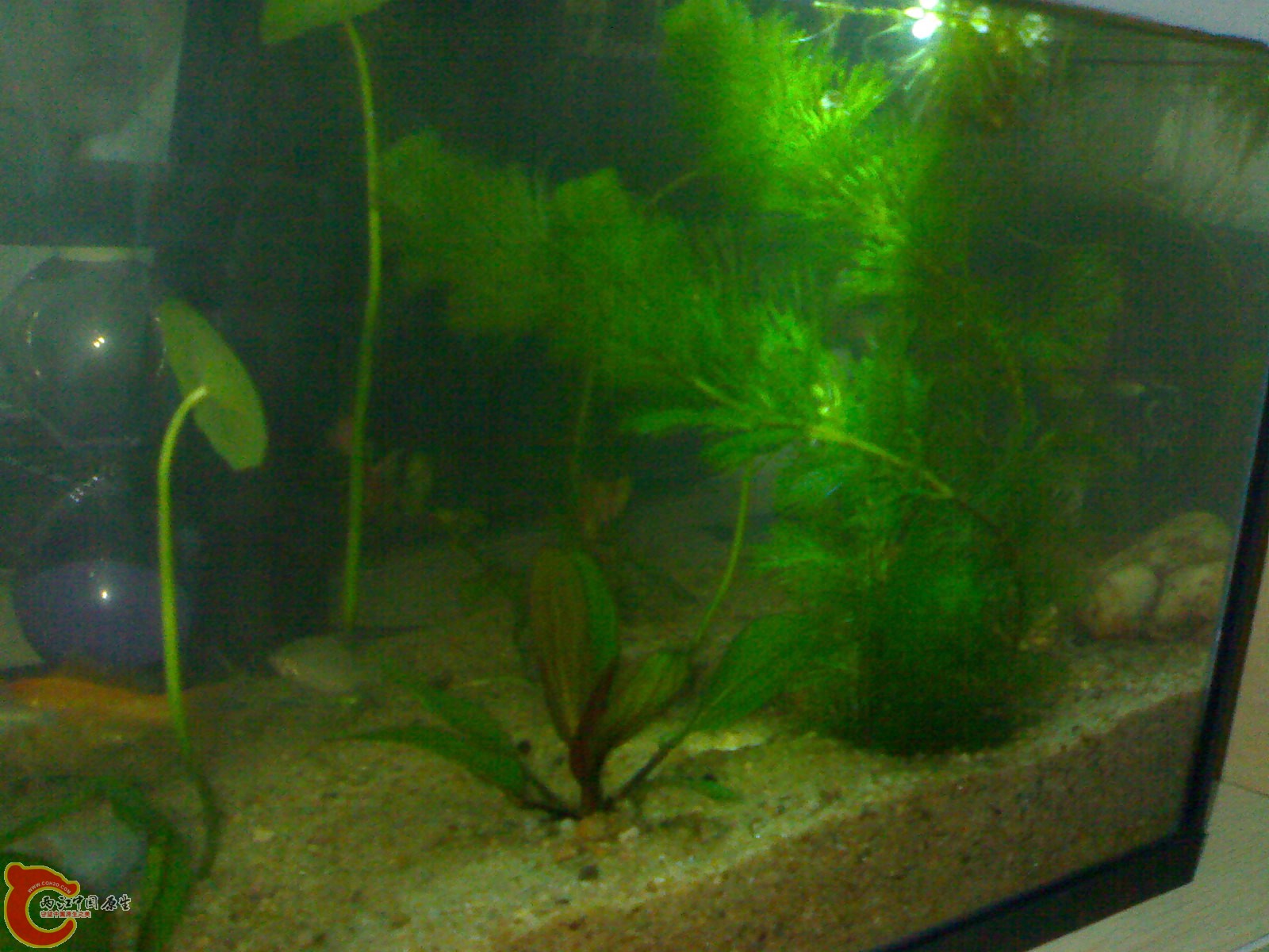 20101102698.jpg