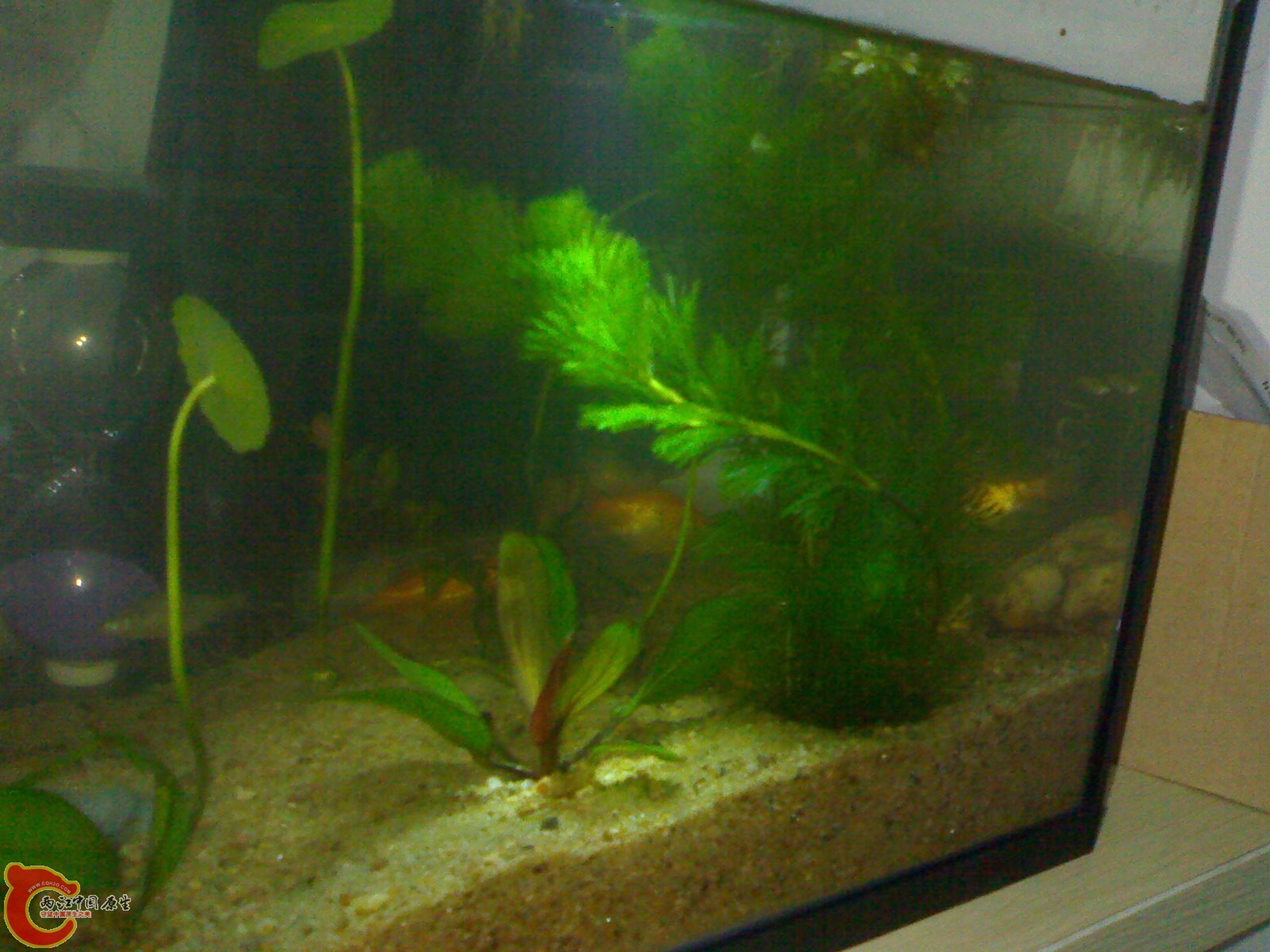 20101102699.jpg