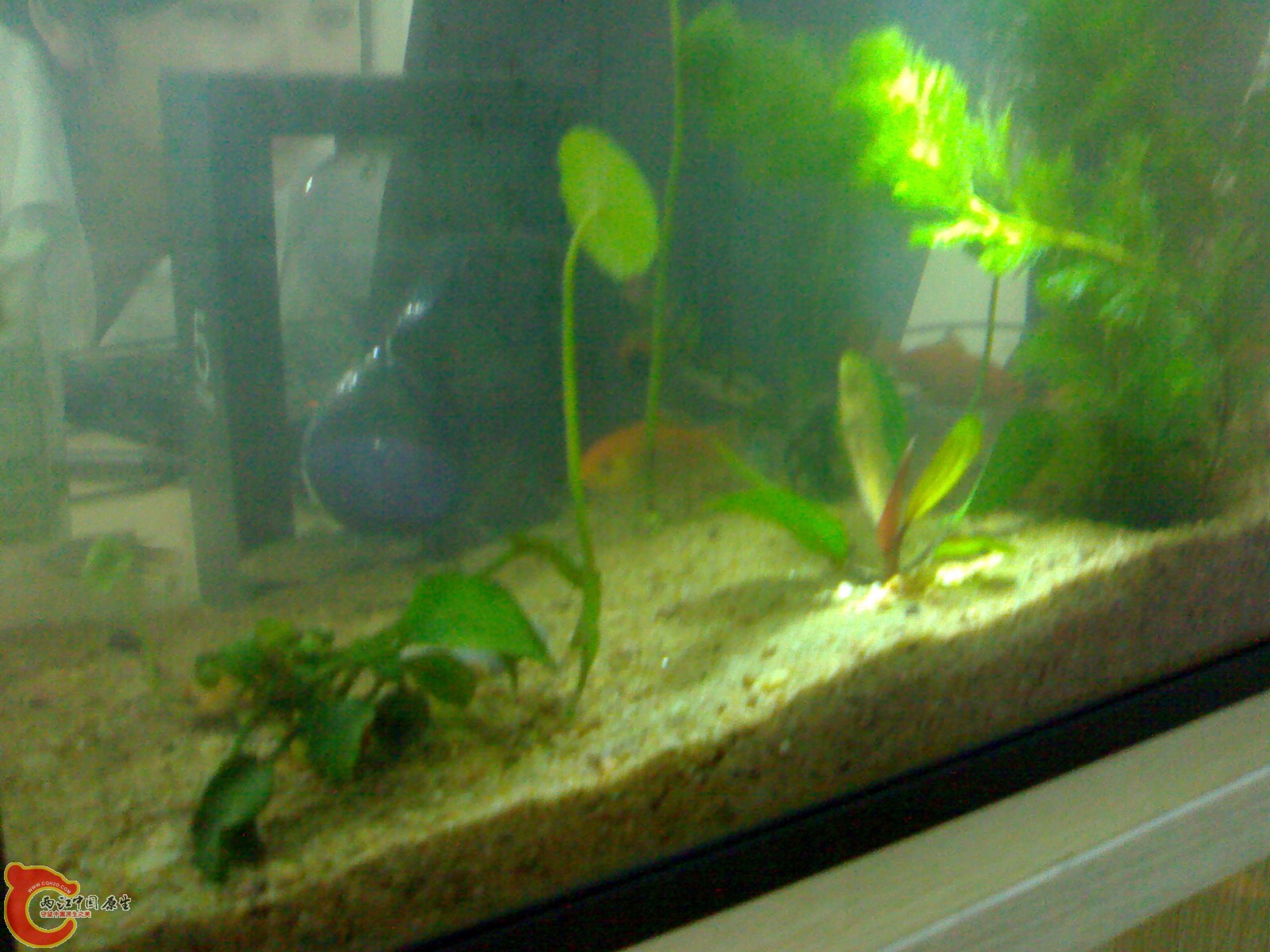 20101102701.jpg