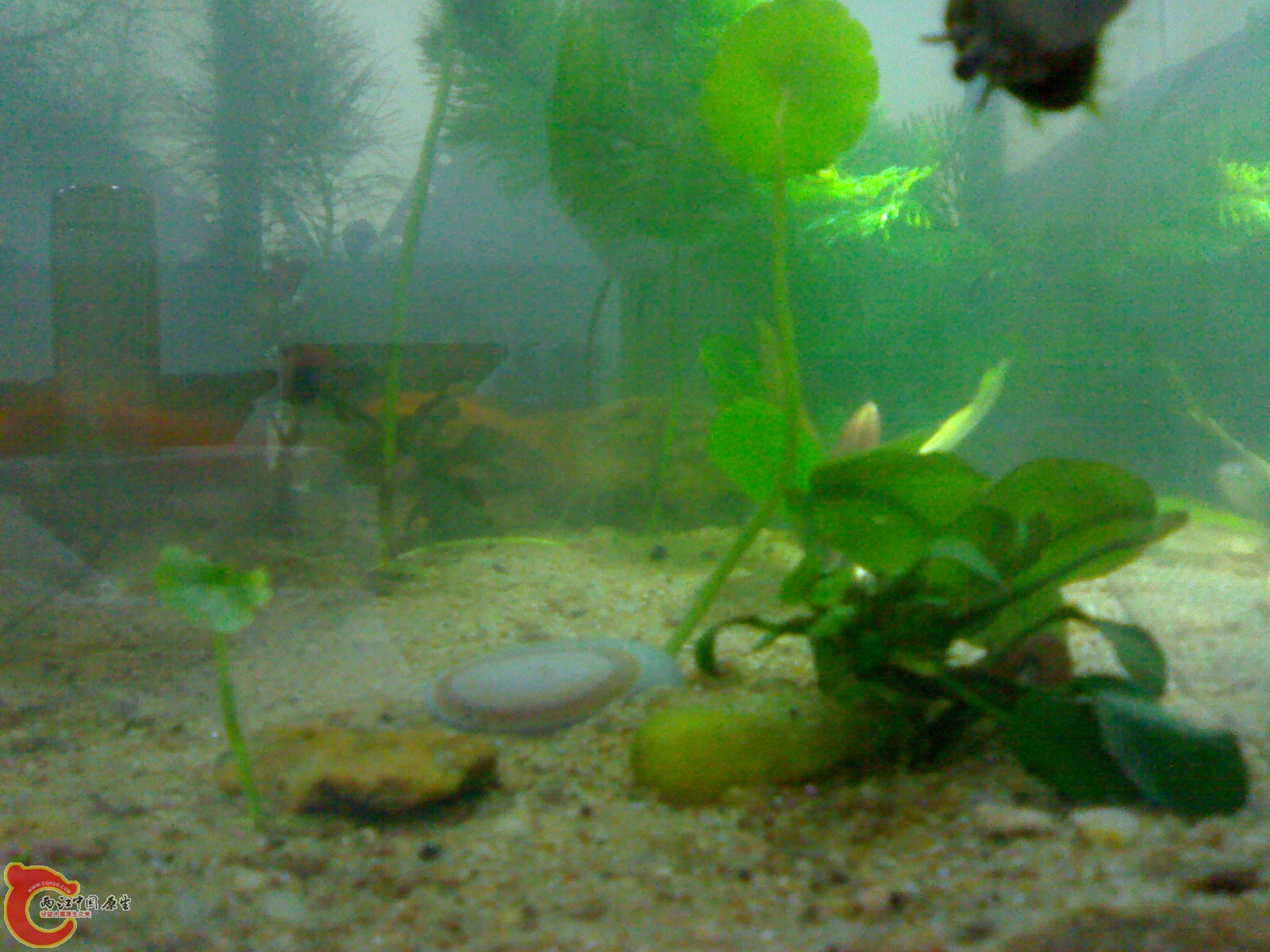20101102704.jpg