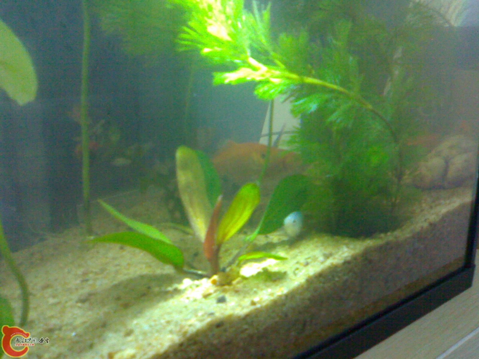 20101102703.jpg