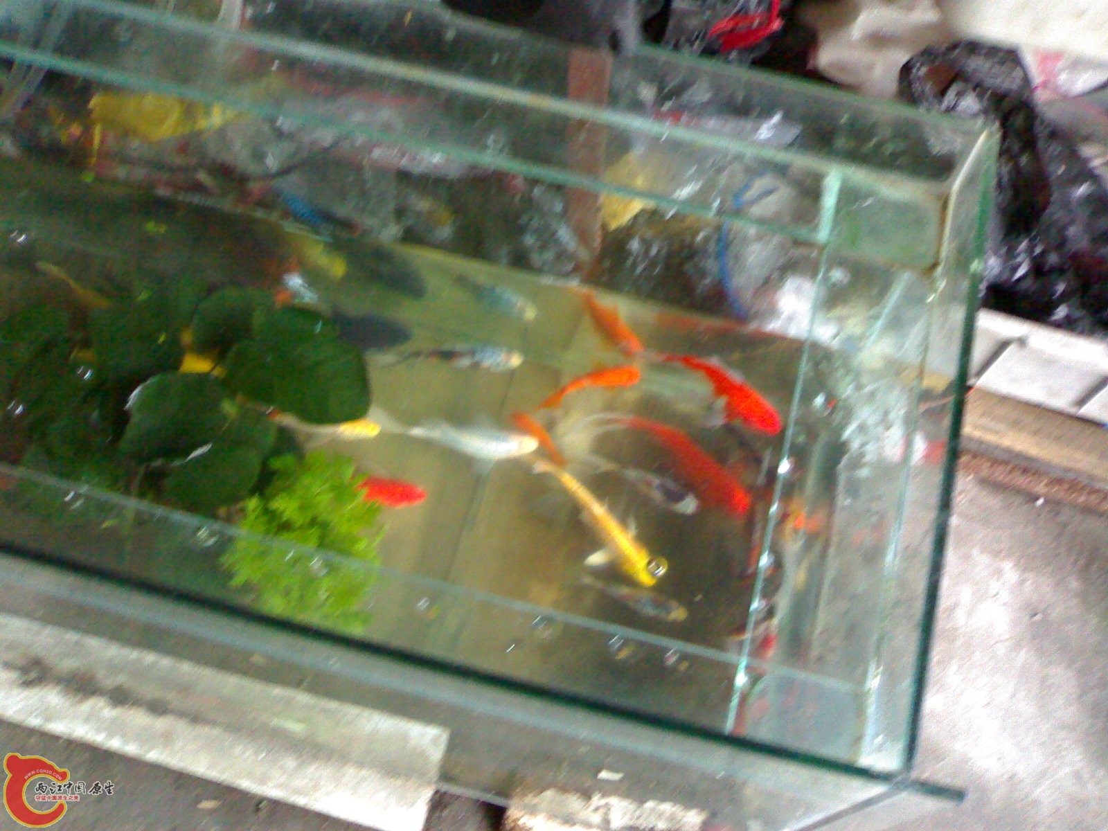 20101111844.jpg