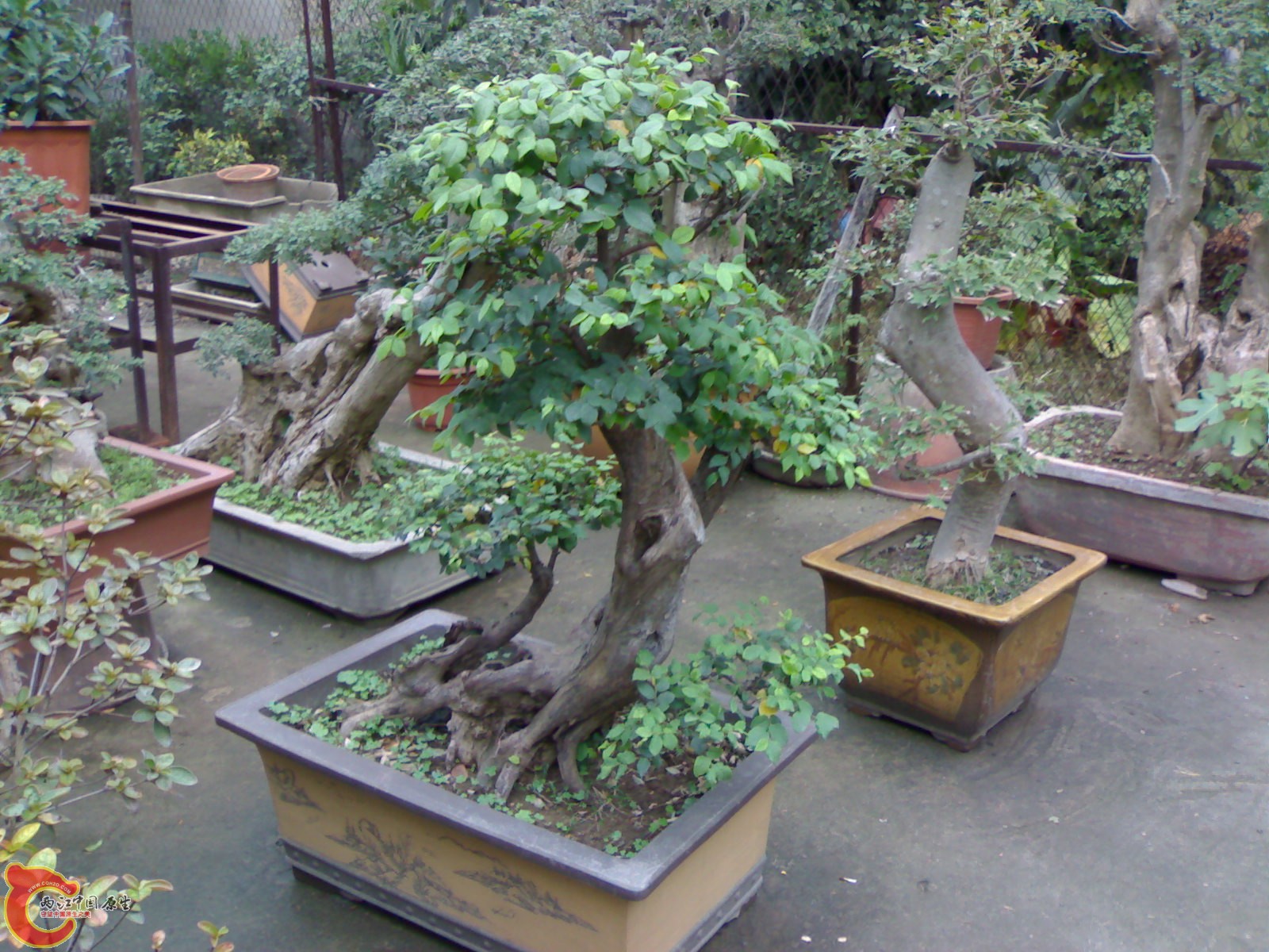 20101111846.jpg
