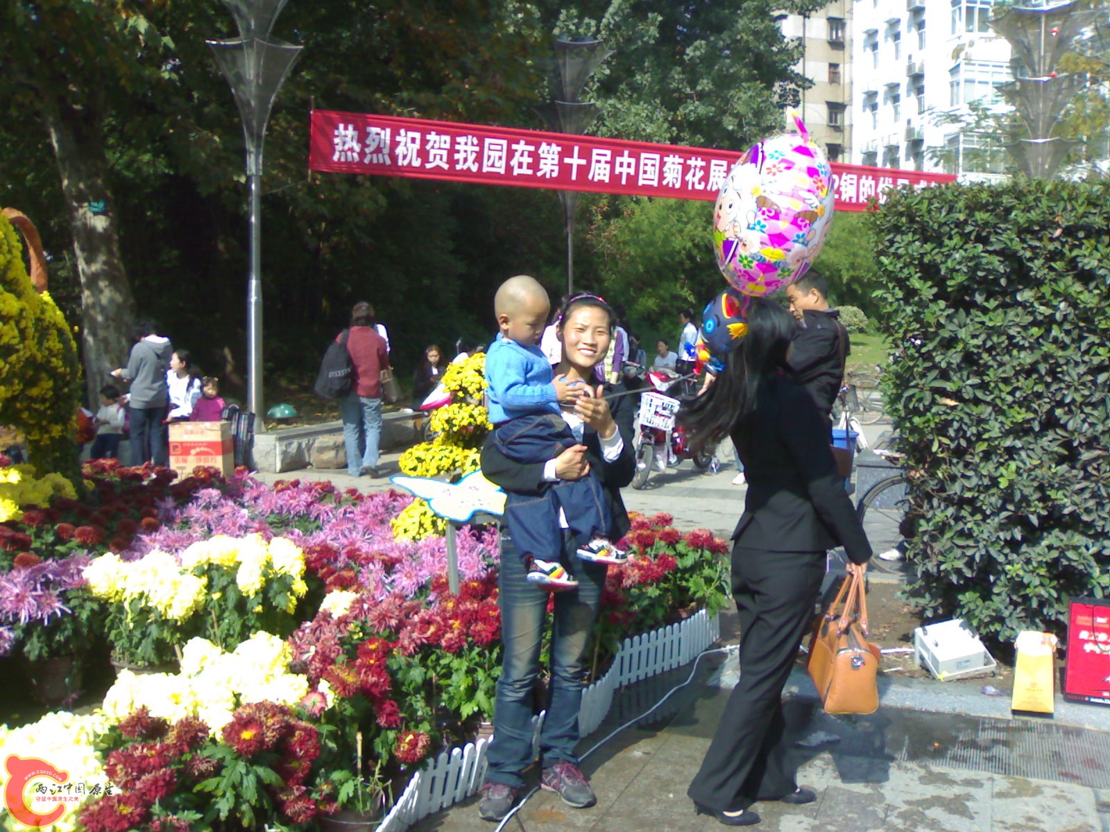 20101112881.jpg