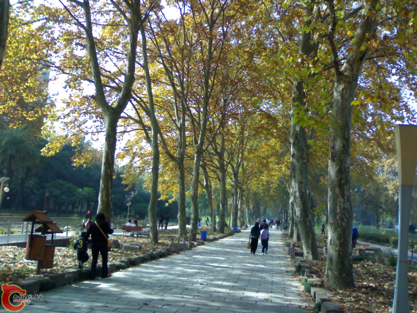 20101112926.jpg