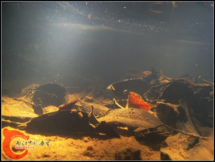 IMG_9733.JPG