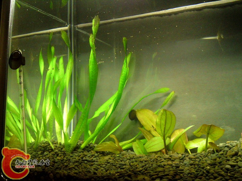 P15-11-10_15.33.jpg