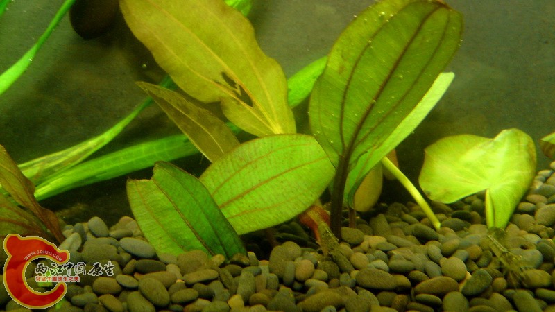 P15-11-10_15.36.jpg