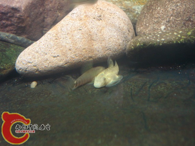 DSC04914.JPG