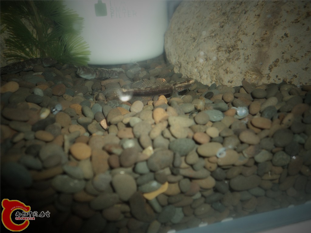DSC02139_副本.jpg