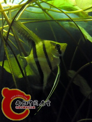 P20-11-10_18.11.jpg