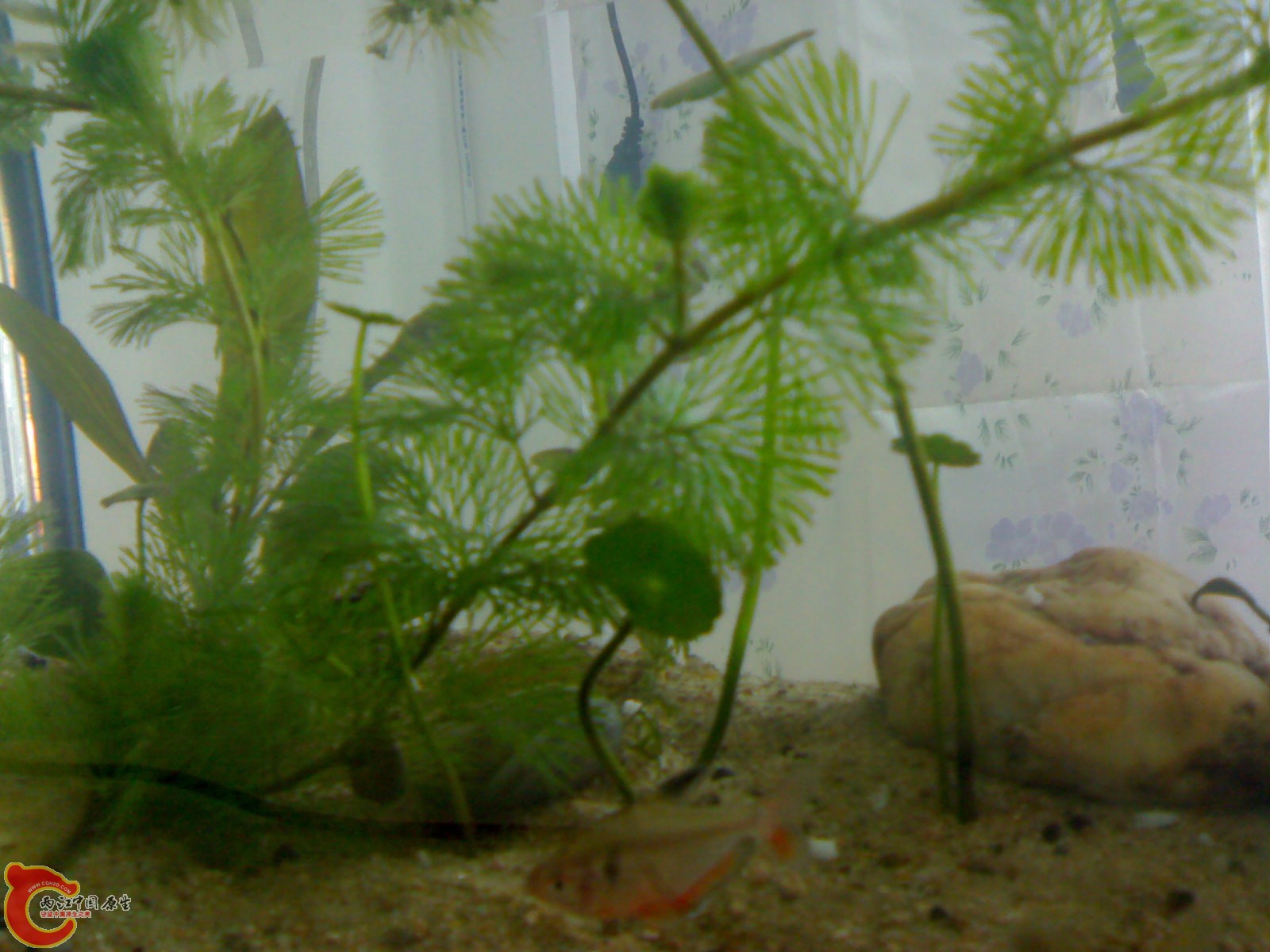 201011211038.jpg