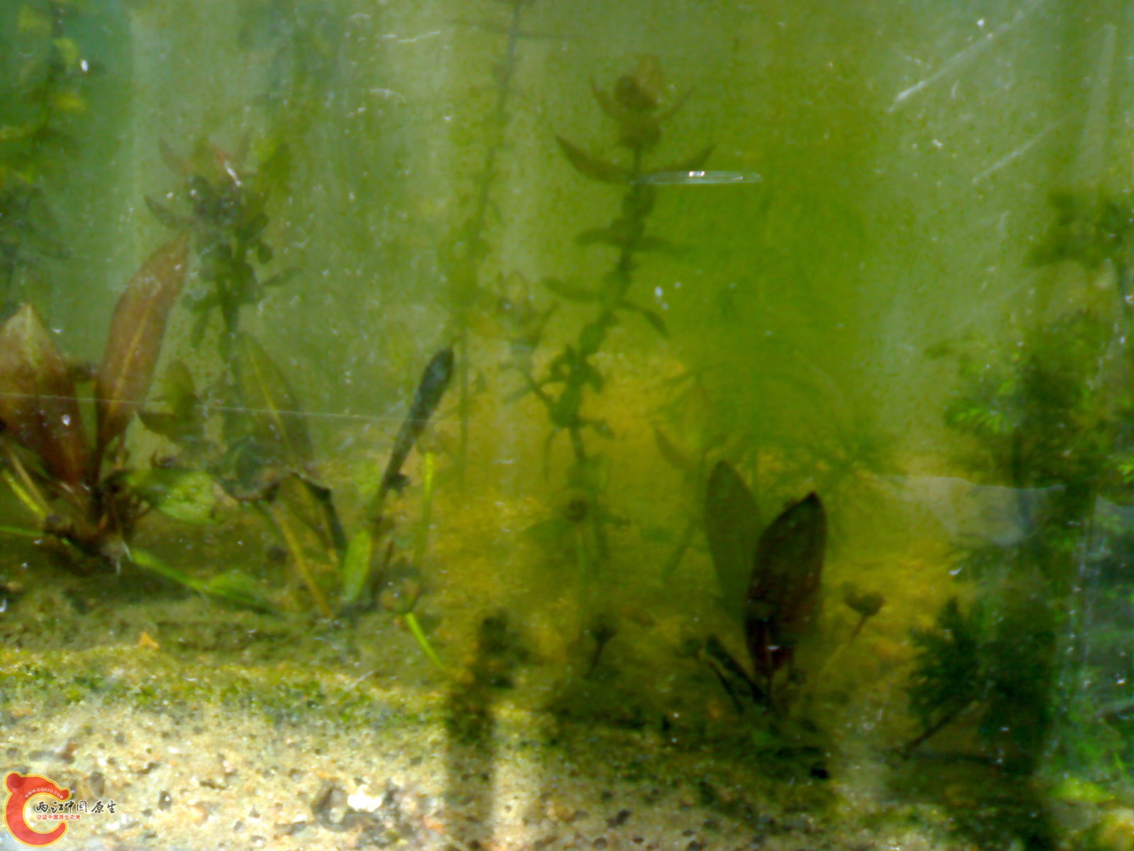 201011221066.jpg