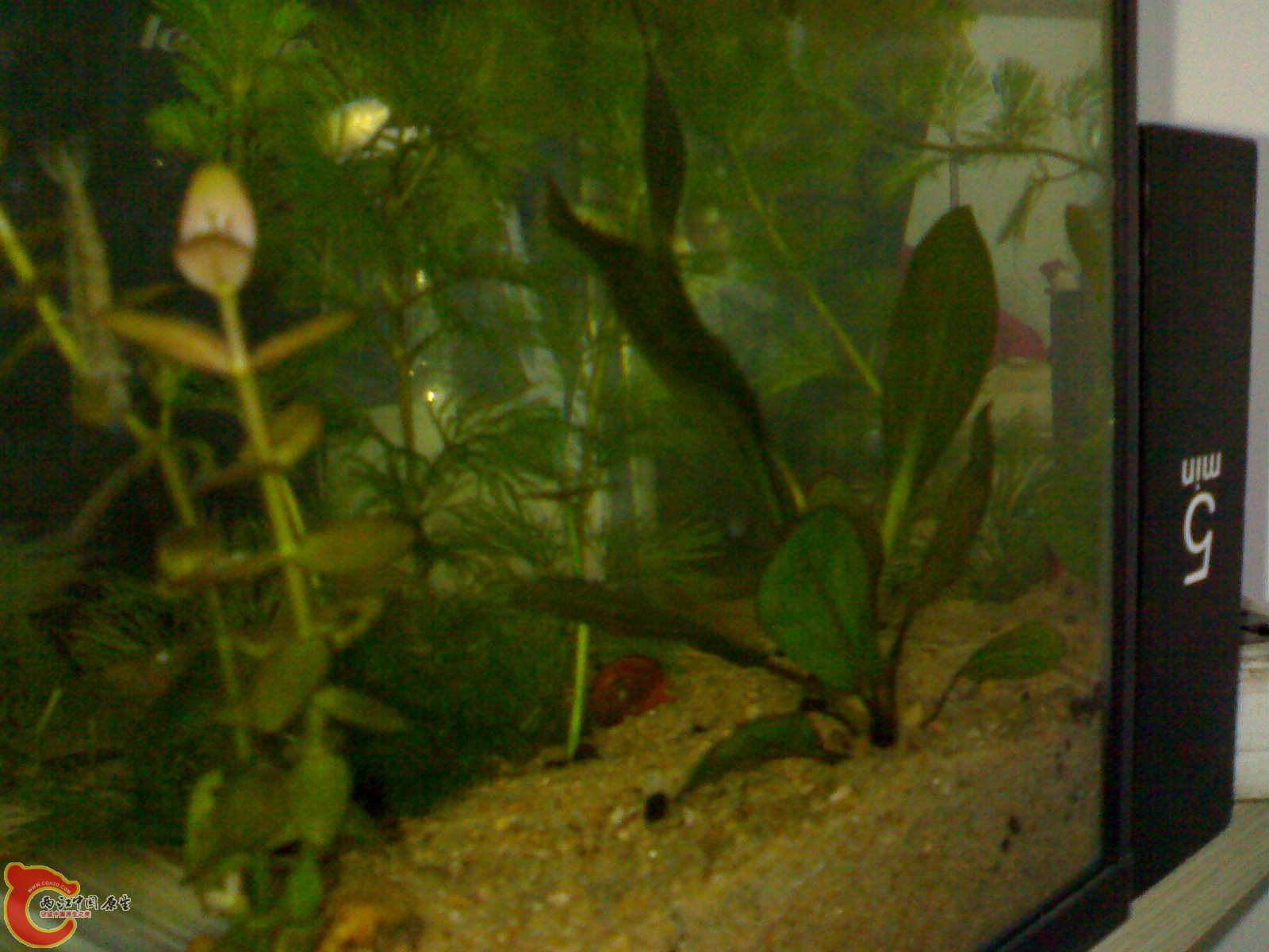 201011221073.jpg