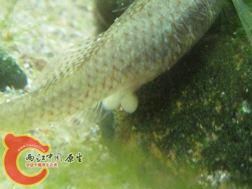 IMG_3359.JPG