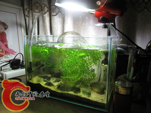 全景图3.JPG