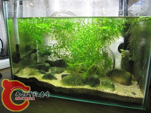 全景图5.JPG