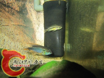 IMG_2180.JPG