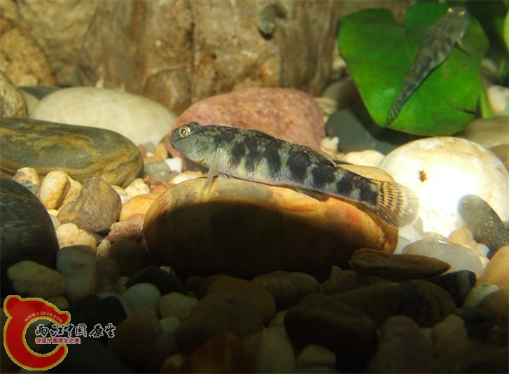 DSCF2684_副本.jpg