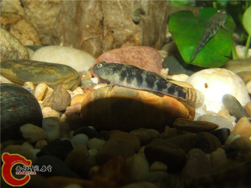 DSCF2684_副本.jpg