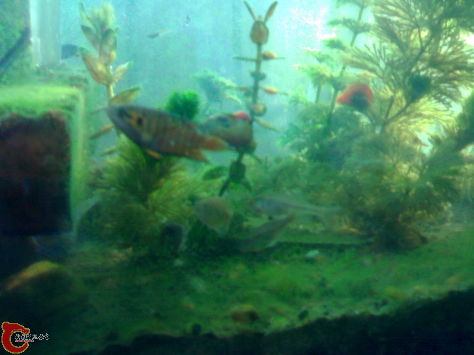 201012011245.jpg